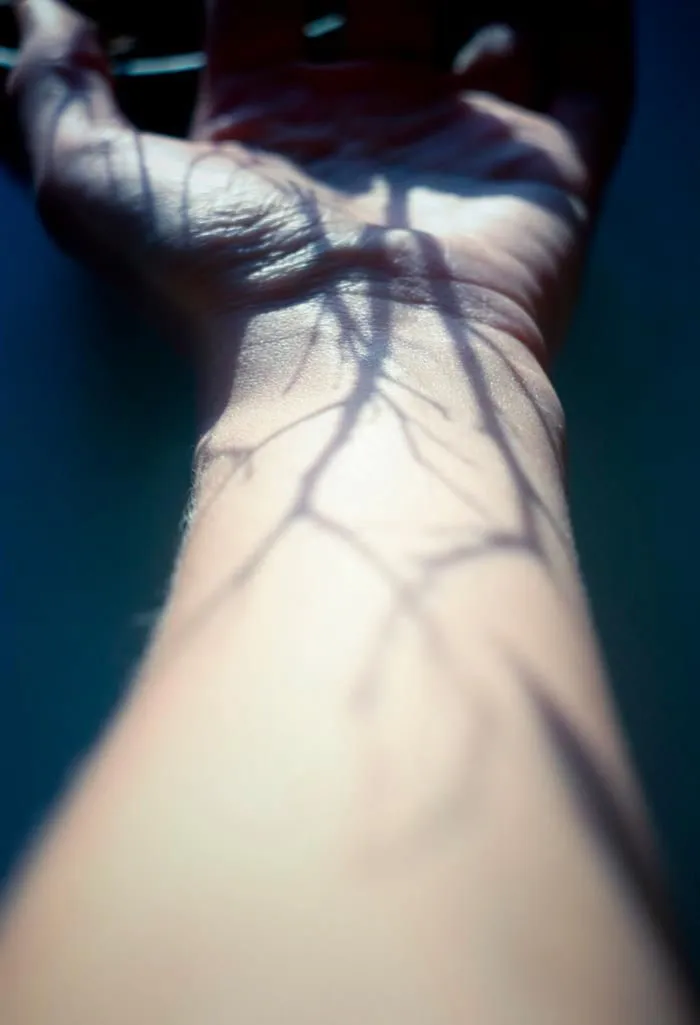 38 Creative Photographers Who Know How To Use Shadows