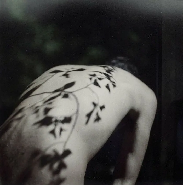 38 Creative Photographers Who Know How To Use Shadows