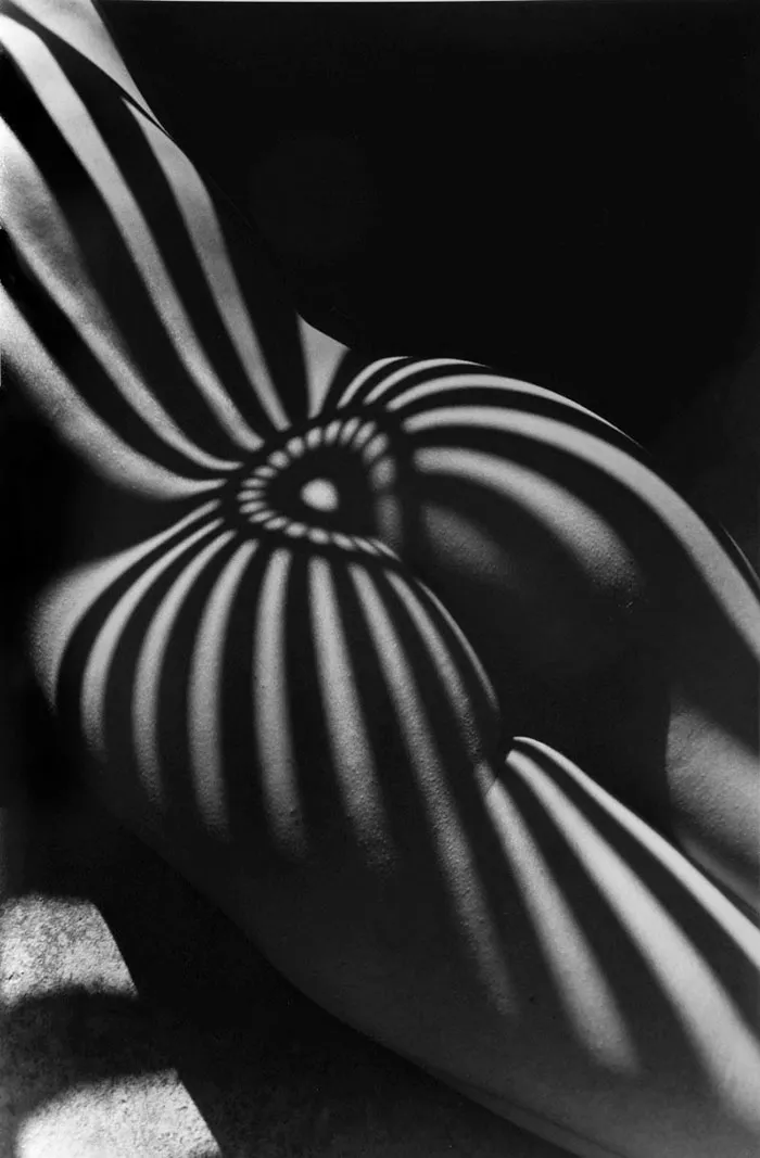 38 Creative Photographers Who Know How To Use Shadows