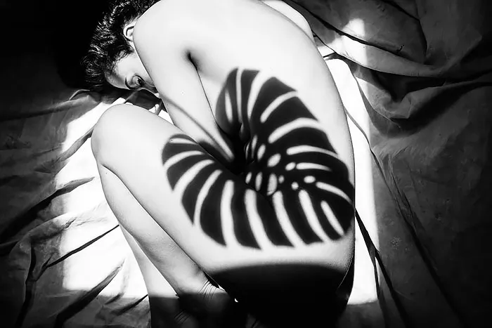 38 Creative Photographers Who Know How To Use Shadows