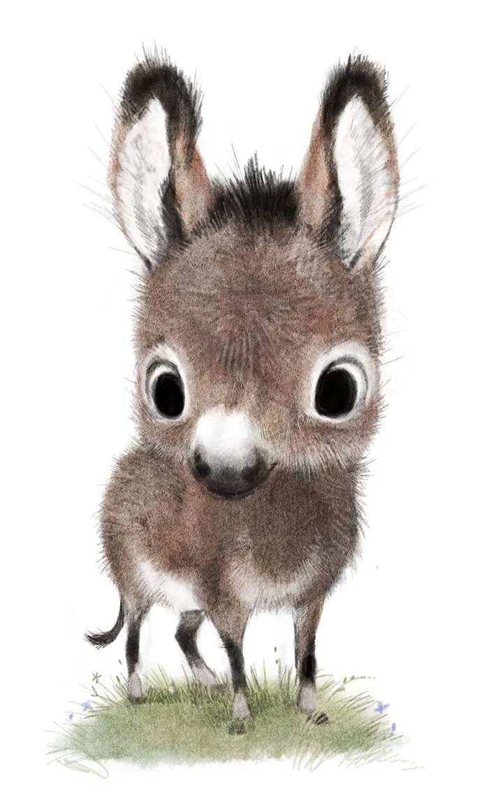 Incredibly Cute Animal Illustrations By Sydney Hanson Will Make You Smile