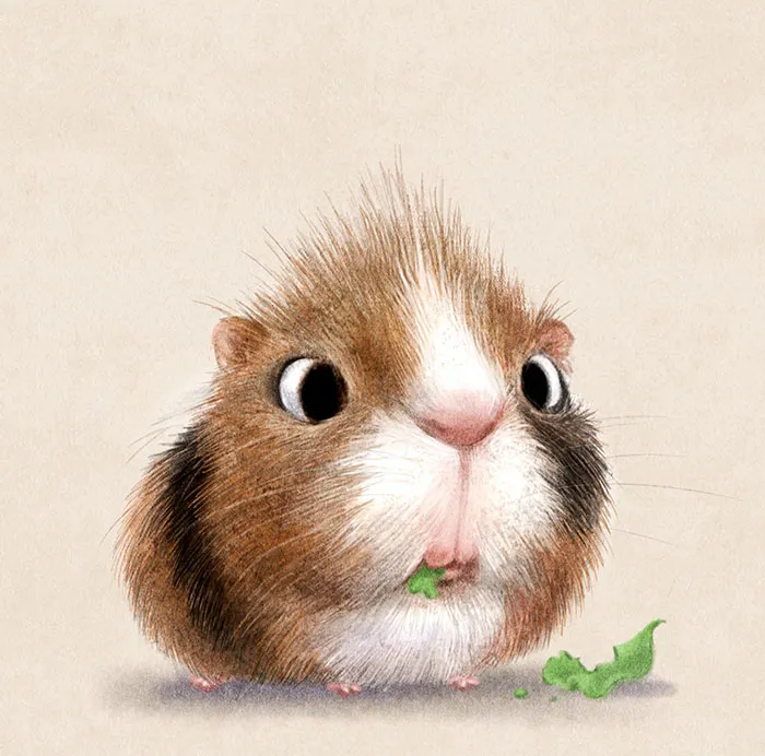 Incredibly Cute Animal Illustrations By Sydney Hanson Will Make You Smile