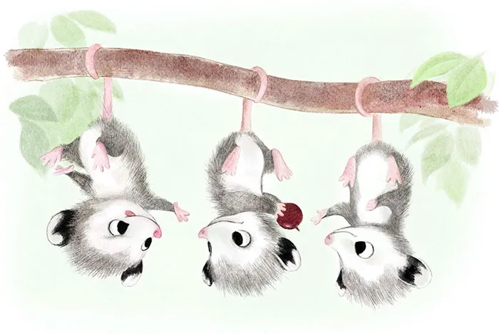 Incredibly Cute Animal Illustrations By Sydney Hanson Will Make You Smile