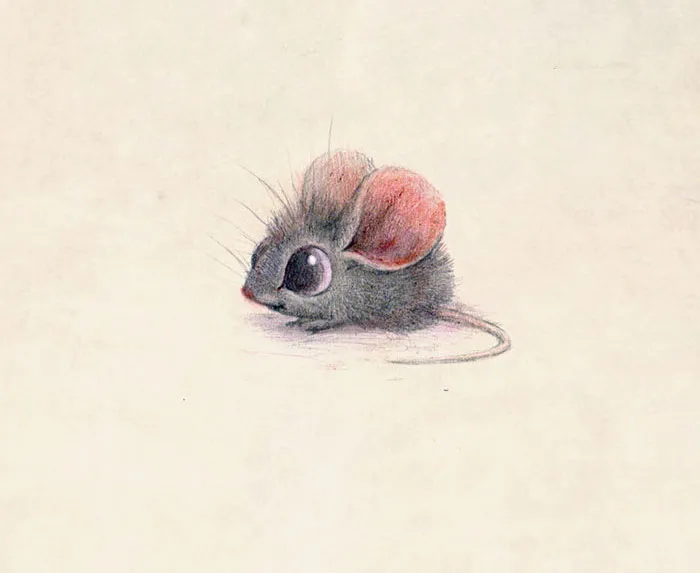 Incredibly Cute Animal Illustrations By Sydney Hanson Will Make You Smile