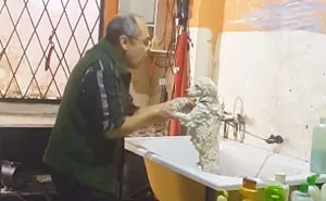 This Pet Groomer Caught Dancing With A Client's Dog Will Melt Your Heart