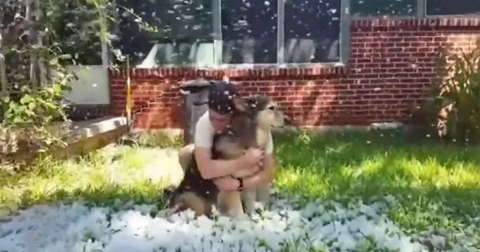 Owner Fulfills Her Dying Dog's Last Wish By Creating Fake Blizzard In Texas