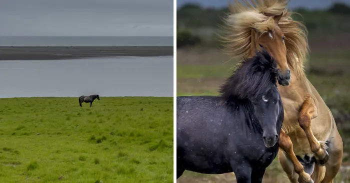 Niceland - I Travelled Around Iceland To Capture The Beauty Of The Most Friendly Country