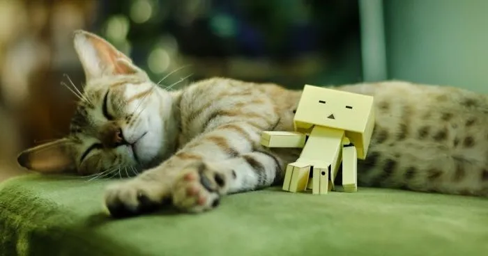 I Make Light-hearted Photographs Using Tiny Toys