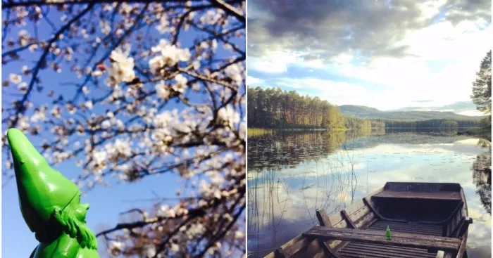 This Cheerful Gnome Is Travelling The World And He'll Make You Want To Travel Too