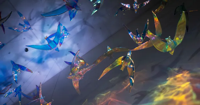 Delicate Sculptures Of Glass And Light By Michele Gutlove