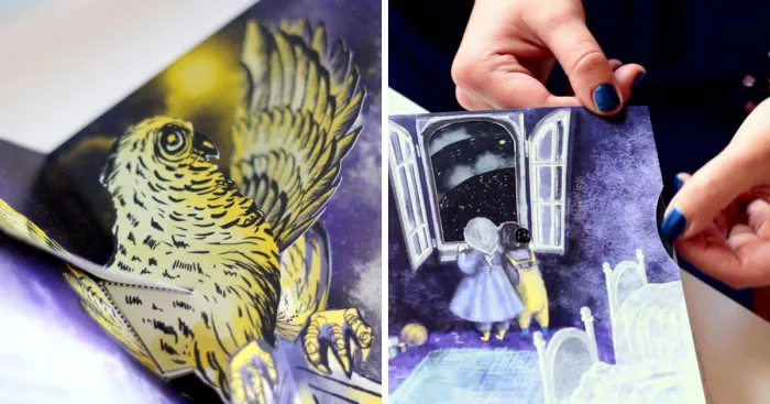 The Lemon Granny, Pop-up Book