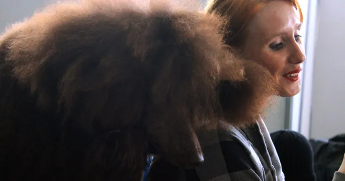 I Try To Capture Special Moments Between Dogs And Owners At Dog Shows