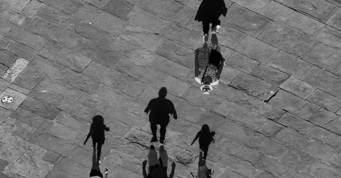 Game Of Silhouettes And Shadows