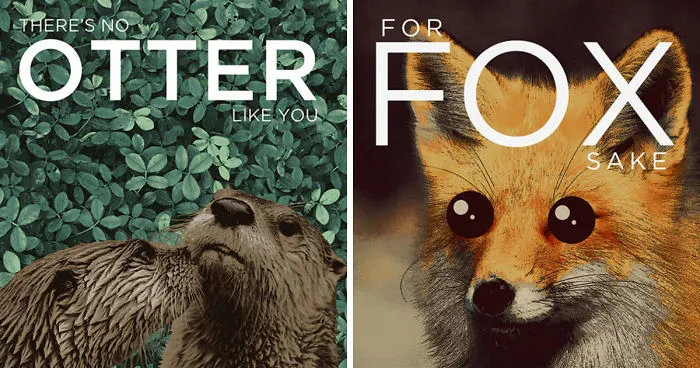 I Created Animal Pun Greeting Cards