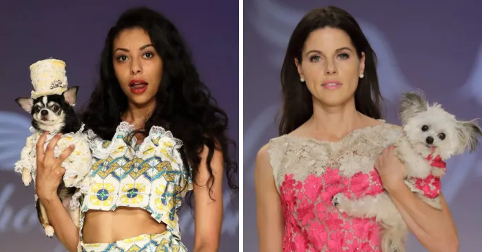 Dogs Take Over New York Fashion Week