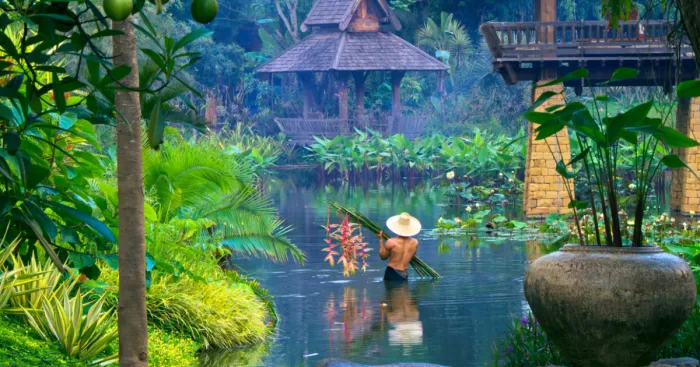 How I Met The Gardener Of Dreams