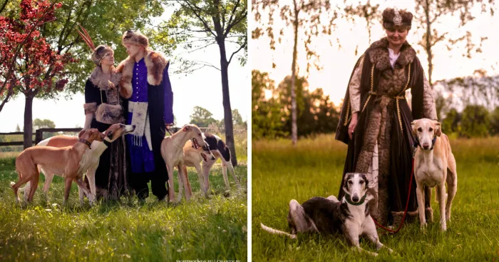 Polish Nobility With Sighthounds