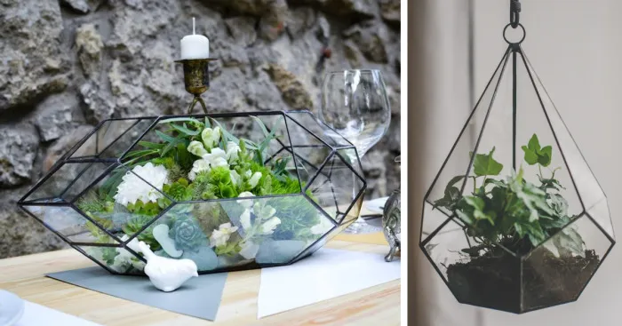 Our Stylish Geometric Terrariums Are A Perfect Home For Succulents
