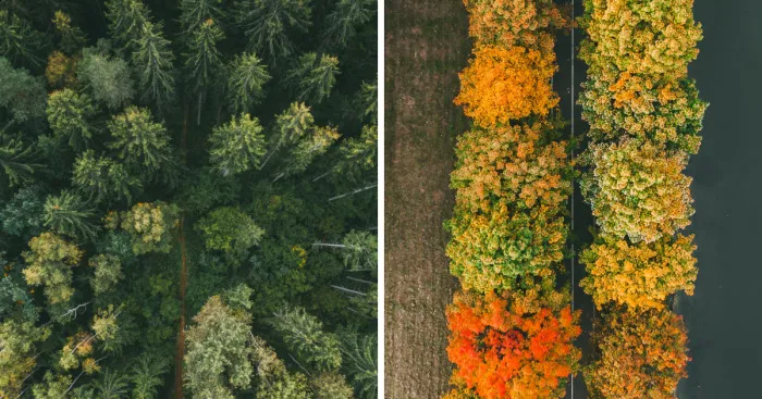 I Captured The Beauty Of Autumn In Belarus