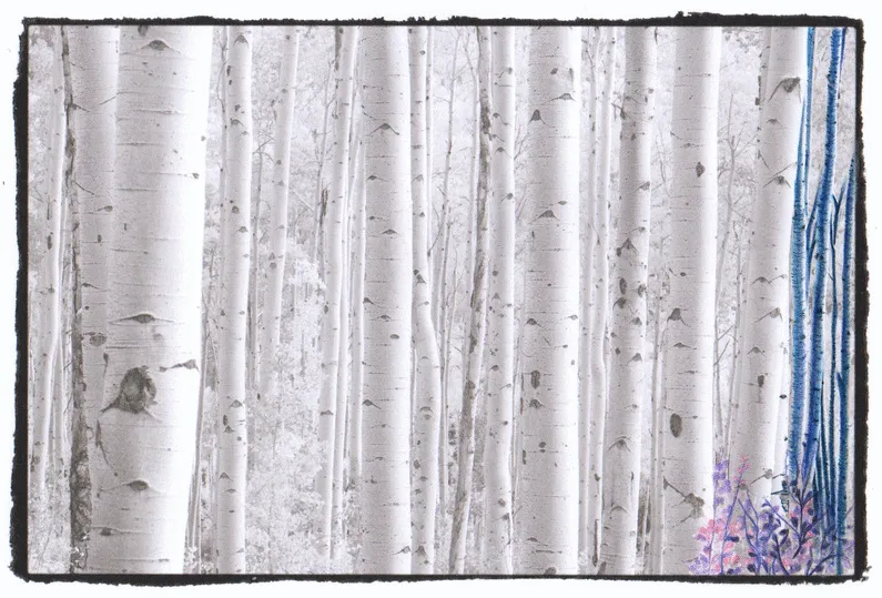 5+ Animated Gifs Of The Grayscale Coloring Process