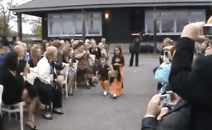 24 Flowers Girls And Ring Bearers Who Stole The Spotlight From The Bride & Groom