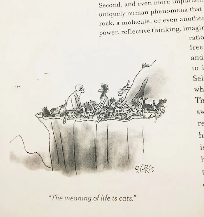My Psych Textbook Speaks The Truth