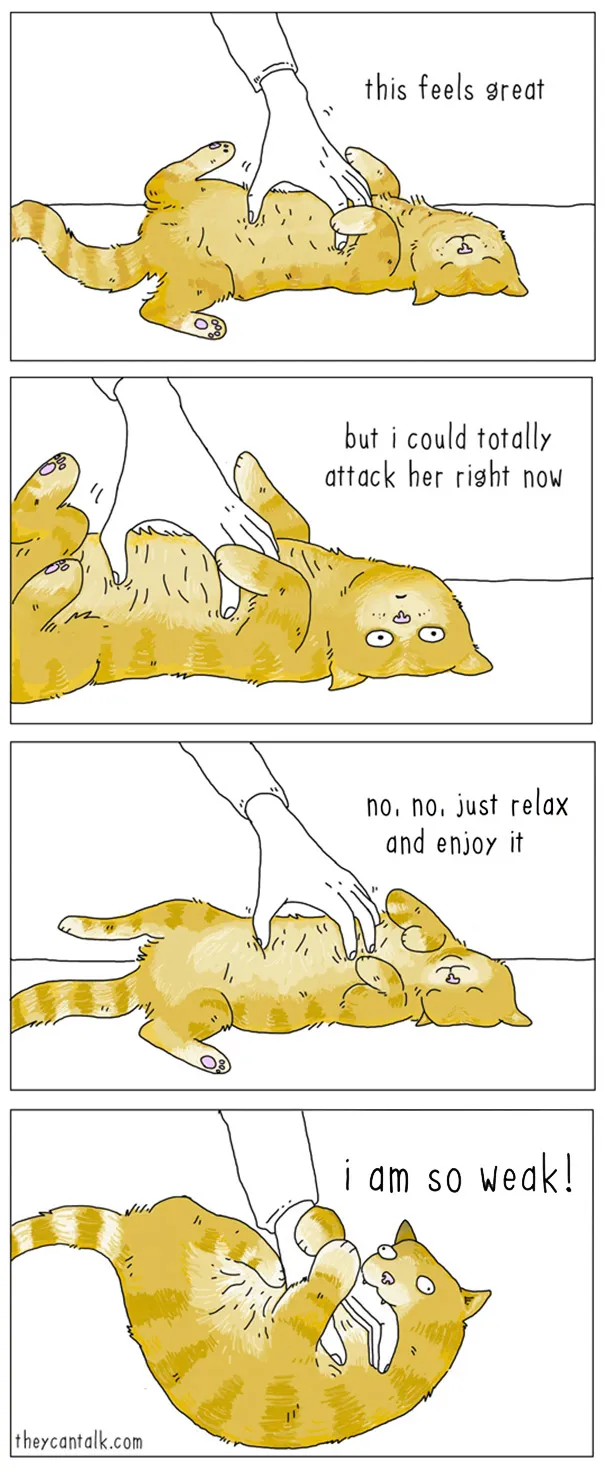 If Animals Could Talk (39 New Pics)