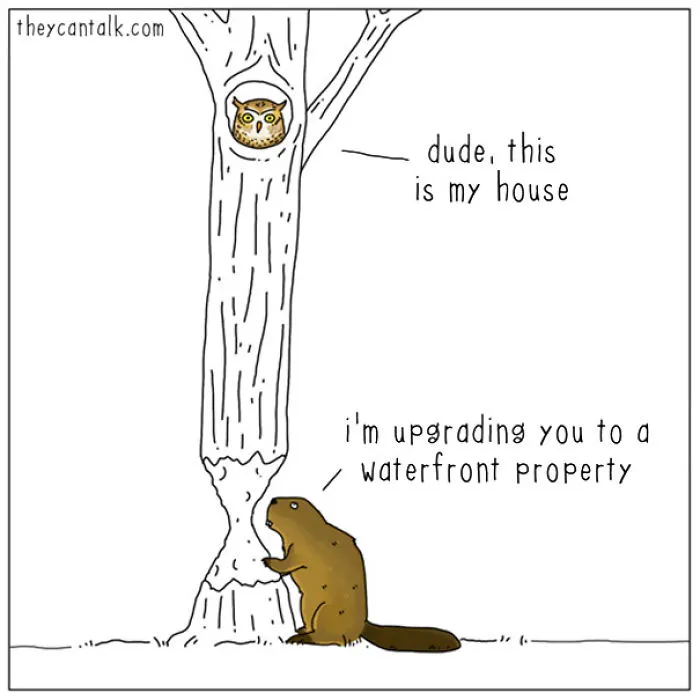 If Animals Could Talk (39 New Pics)