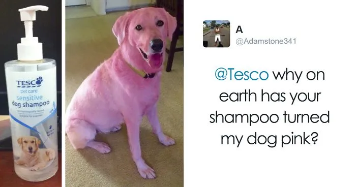 42 Hilarious Customer Complaints And Responses That'll Make You Laugh