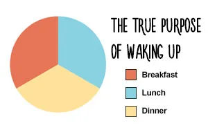 47 Honest Charts That Every Foodie Can Relate To