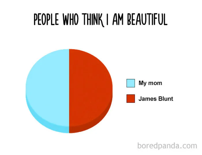 38 Hilarious Pie Charts That Are Absolutely True