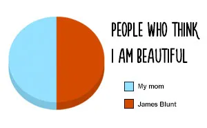 38 Hilarious Pie Charts That Are Absolutely True