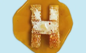 We Used Everyday Objects To Form A Full Alphabet