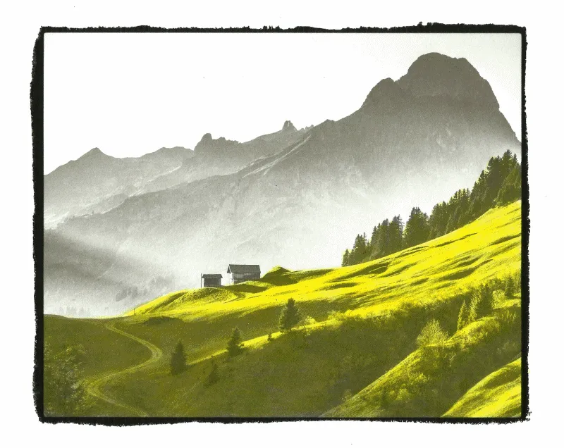 5+ Animated Gifs Of The Grayscale Coloring Process