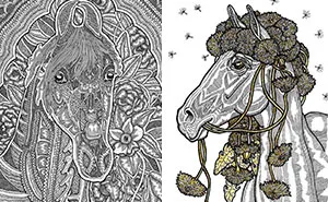 I Create Higly Detailed Drawings Of Horses