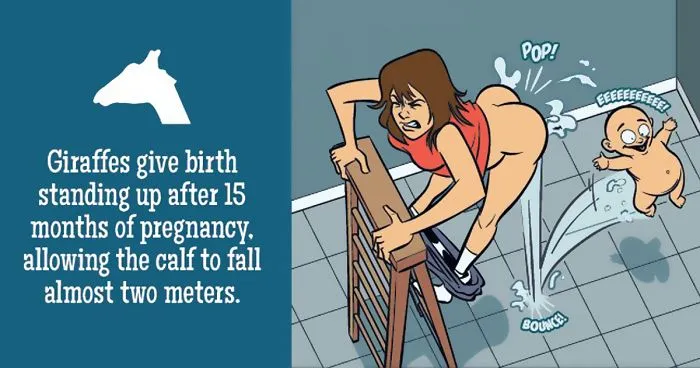 If Humans Gave Birth Like Animals By Paul Westover