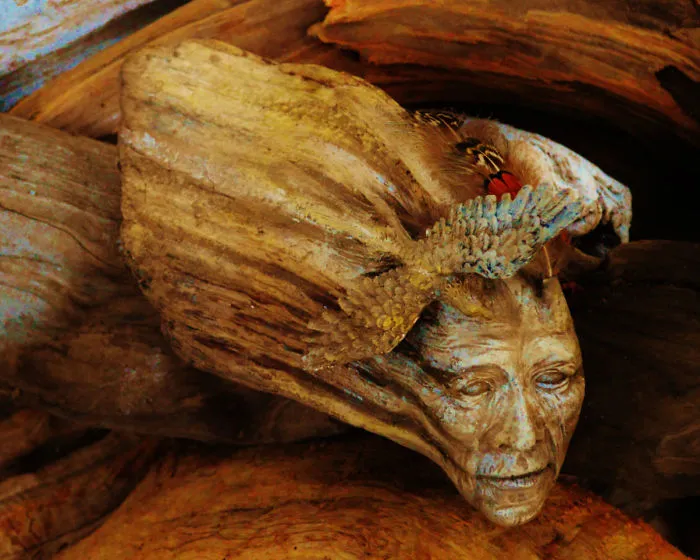 162 Stunning Driftwood Sculptures By Debra Bernier Tell The Forgotten Stories Of The Ocean
