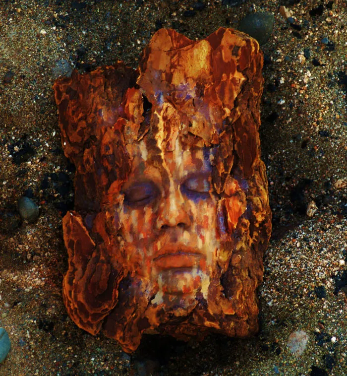 162 Stunning Driftwood Sculptures By Debra Bernier Tell The Forgotten Stories Of The Ocean