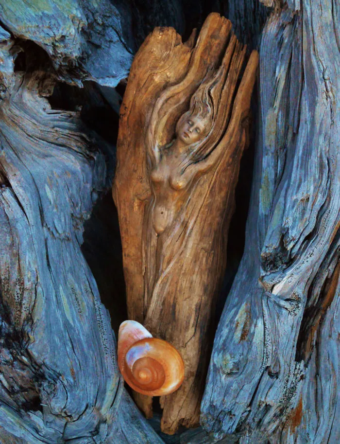 162 Stunning Driftwood Sculptures By Debra Bernier Tell The Forgotten Stories Of The Ocean
