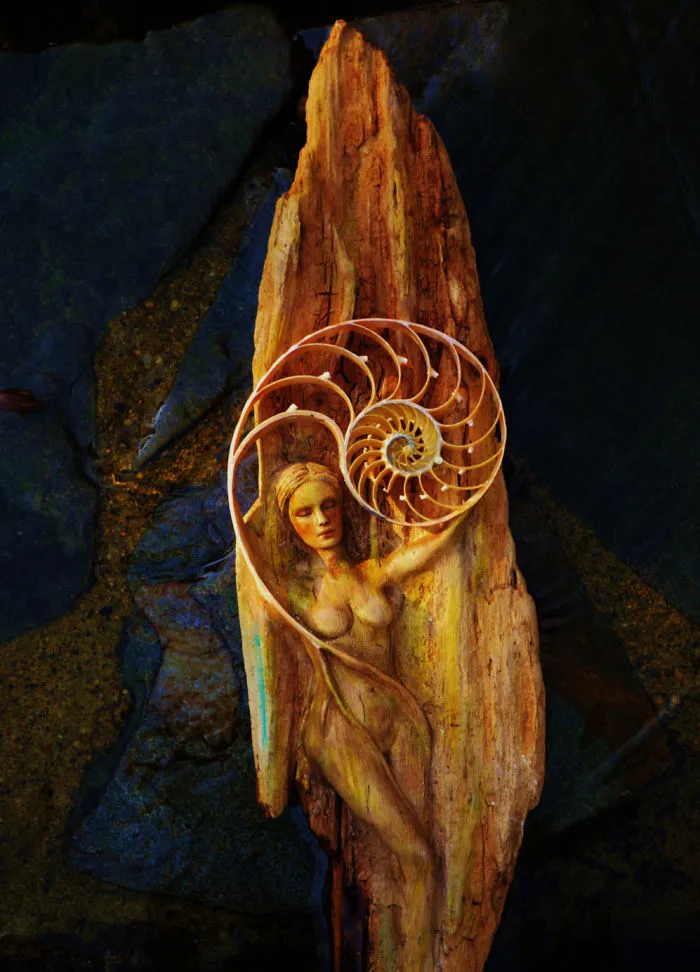 162 Stunning Driftwood Sculptures By Debra Bernier Tell The Forgotten Stories Of The Ocean