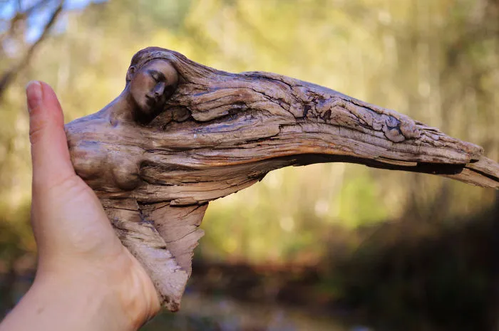 162 Stunning Driftwood Sculptures By Debra Bernier Tell The Forgotten Stories Of The Ocean