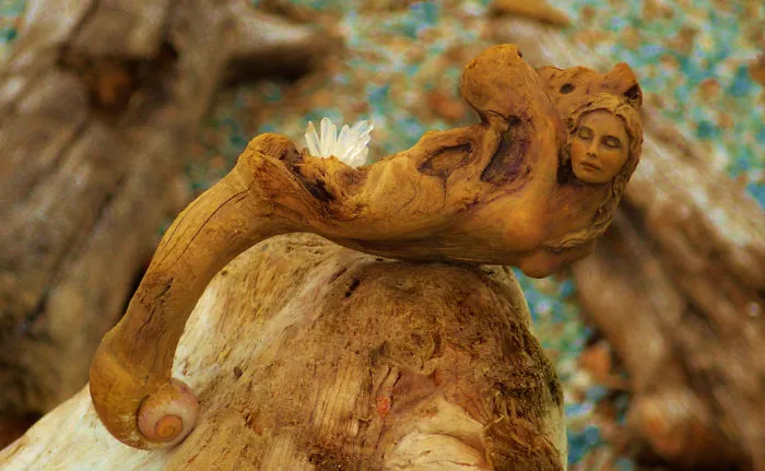 162 Stunning Driftwood Sculptures By Debra Bernier Tell The Forgotten Stories Of The Ocean