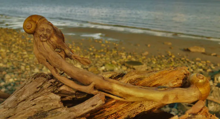 162 Stunning Driftwood Sculptures By Debra Bernier Tell The Forgotten Stories Of The Ocean