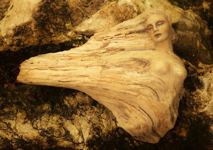 162 Stunning Driftwood Sculptures By Debra Bernier Tell The Forgotten Stories Of The Ocean