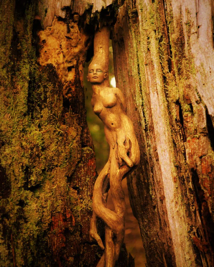 162 Stunning Driftwood Sculptures By Debra Bernier Tell The Forgotten Stories Of The Ocean