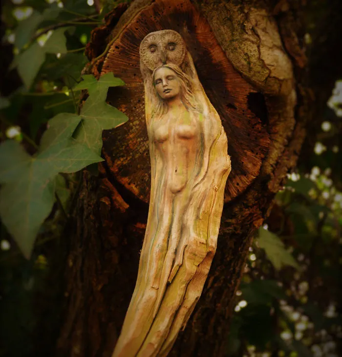 162 Stunning Driftwood Sculptures By Debra Bernier Tell The Forgotten Stories Of The Ocean