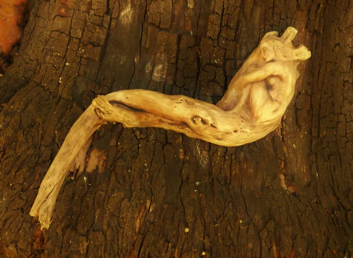 162 Stunning Driftwood Sculptures By Debra Bernier Tell The Forgotten Stories Of The Ocean
