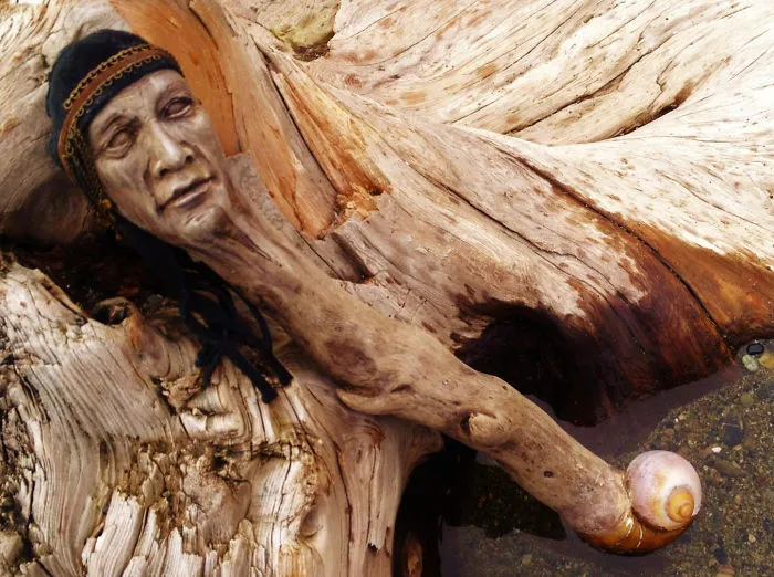 162 Stunning Driftwood Sculptures By Debra Bernier Tell The Forgotten Stories Of The Ocean