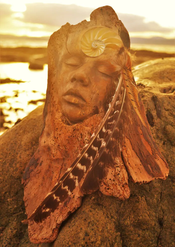 162 Stunning Driftwood Sculptures By Debra Bernier Tell The Forgotten Stories Of The Ocean