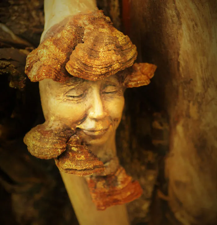 162 Stunning Driftwood Sculptures By Debra Bernier Tell The Forgotten Stories Of The Ocean